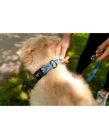 Tidal Pattern Dog Collar - Small 5/8in wide by 8