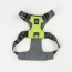 Kiwi Green  - Millvue EZ Fit Dog Harness - Extra Small