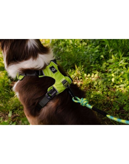 Kiwi Green  - Millvue EZ Fit Dog Harness - Extra Small