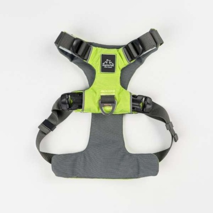 Kiwi Green  - Millvue EZ Fit Dog Harness - Large