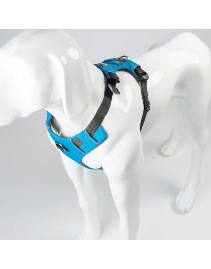 Ocean Blue  - Millvue EZ Fit Dog Harness - Small