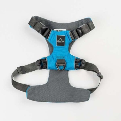 Ocean Blue  - Millvue EZ Fit Dog Harness - Large