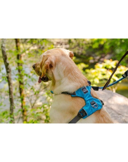 Ocean Blue  - Millvue EZ Fit Dog Harness - Medium