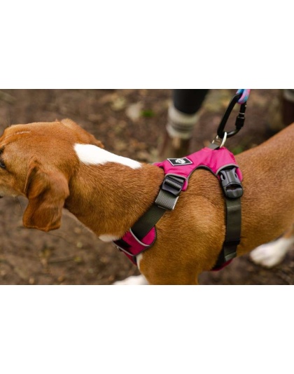 Raspberry Pink  - Millvue EZ Fit Dog Harness - Extra Small