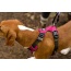 Raspberry Pink  - Millvue EZ Fit Dog Harness - Extra Small