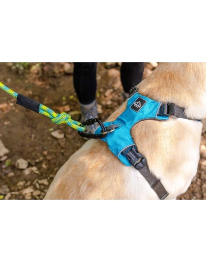 Alpine 10MM Kernmantle Rope Leash - 30 inches