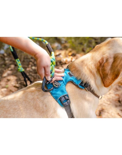 Alpine 10MM Kernmantle Rope Leash - 30 inches