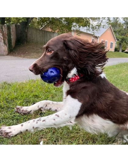 Chewie Squeak Rubber Football