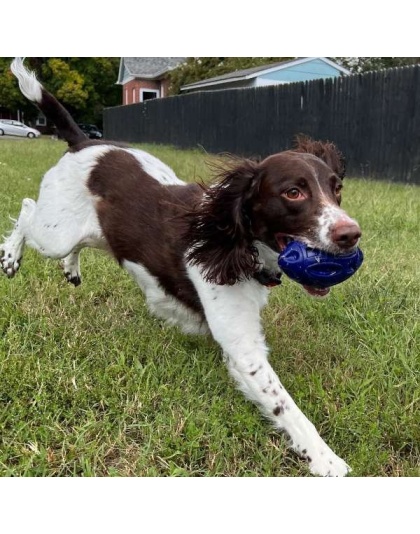 Chewie Squeak Rubber Football