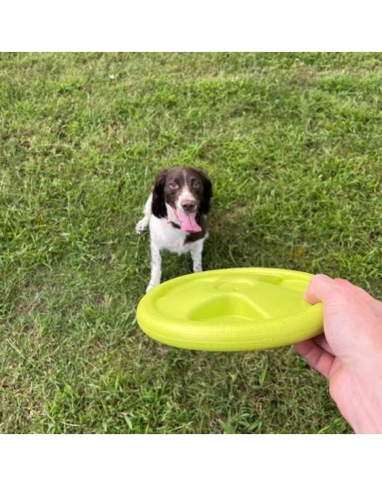 Harley Flyer Frisbee