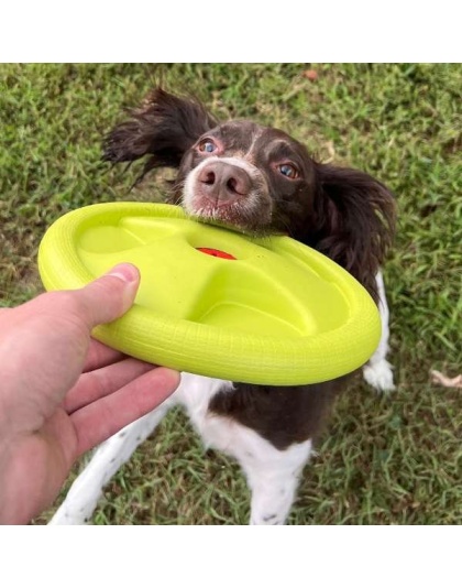 Harley Flyer Frisbee