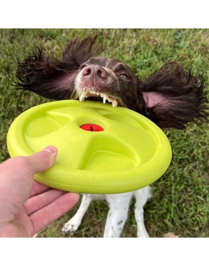 Harley Flyer Frisbee