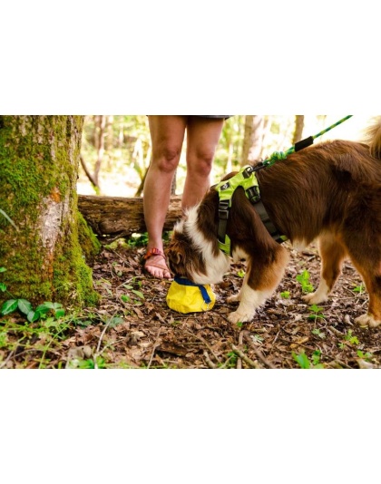 Yellow Collapsible Bowl - Gallatin Lightweight Collapsible Dog Bowl