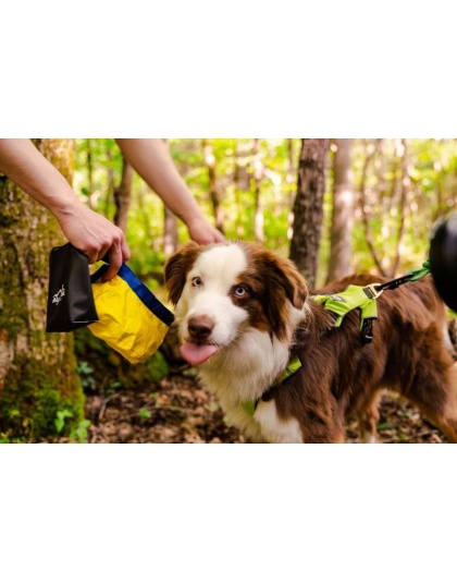 Yellow Collapsible Bowl - Gallatin Lightweight Collapsible Dog Bowl