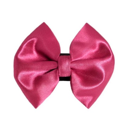 2 - PR3000|Pets Ribbons - 5"