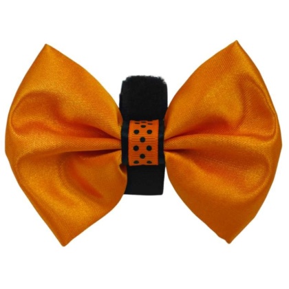 Orange - PR3000HD|Pets Ribbons - 2"