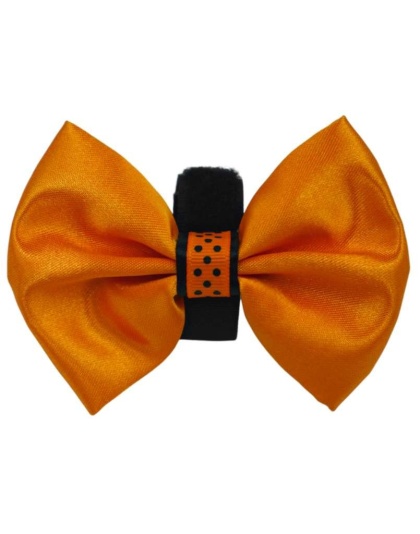 Orange - PR3000HD|Pets Ribbons - 2"