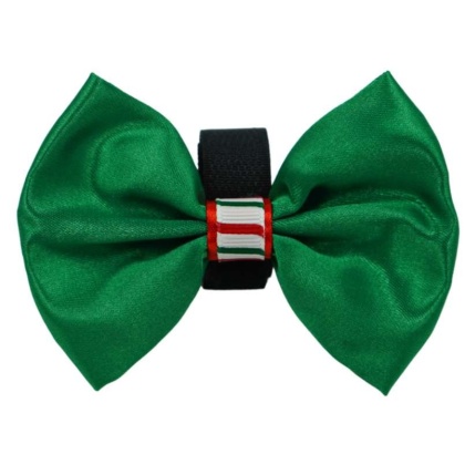 Green - PR3000XCS|Pets Ribbons - 2"