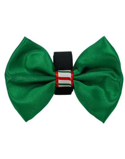 Green - PR3000XCS|Pets Ribbons - 2"