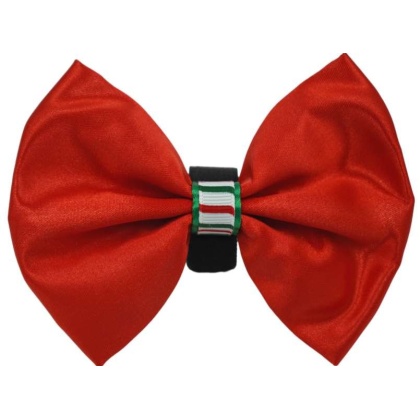 Red - PR3000XCS|Pets Ribbons - 3"