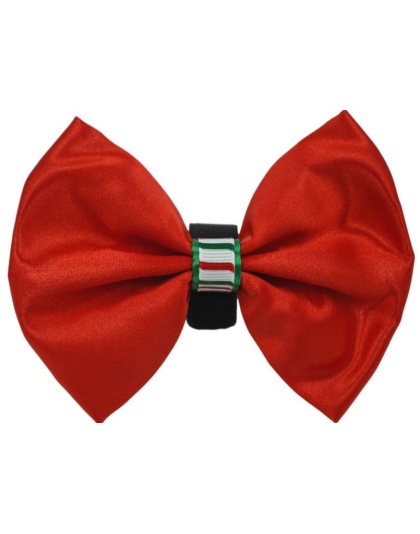 Red - PR3000XCS|Pets Ribbons - 3"