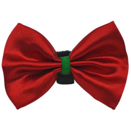 Red - PR3000X|Pets Ribbons - 4"