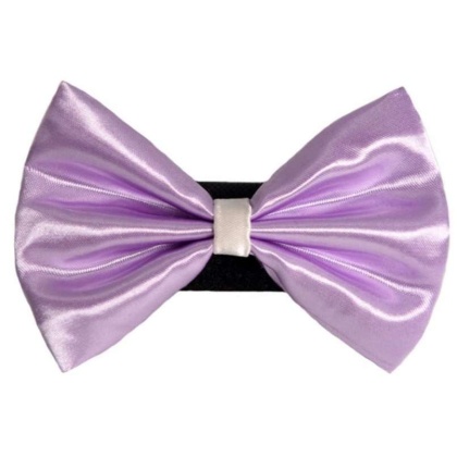 5 - PR3001|Pets Ribbons - 2"