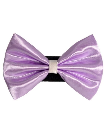 5 - PR3001|Pets Ribbons - 2"