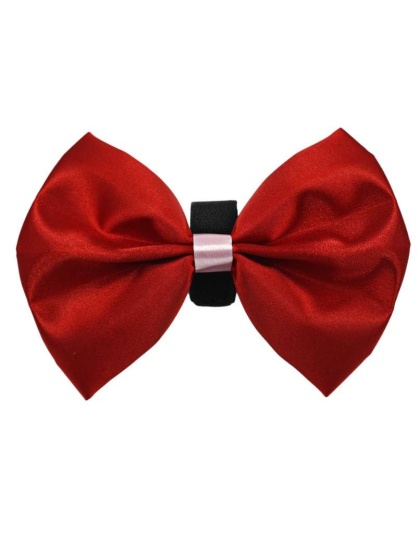 Red-Pink - PR3001VA|Pets Ribbons - 3"