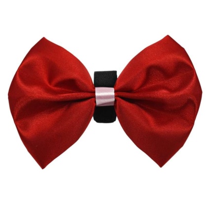 Red-Pink - PR3001VA|Pets Ribbons - 4"