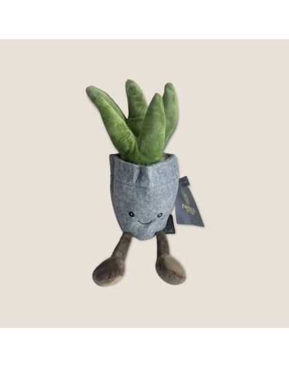 NANDOG My BFF Succulent Pot