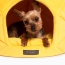 NANDOG Prive Collection Pineapple Bed-LARGE