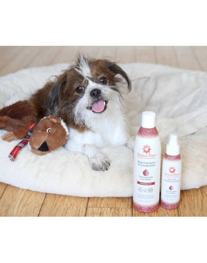 4.5 Oz. Dog Coat Spray Pomegranate Cucumber