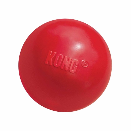 KONG(R) Ball w/Hole Dog Fetch Toy  - Medium/Large