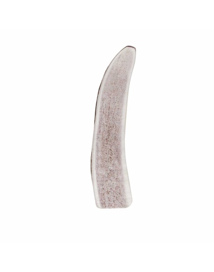 KONG(R) Wild Antler Split  - Small