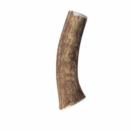 KONG(R) Wild Antler Whole  - Medium