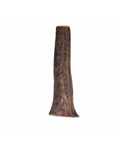 KONG(R) Wild Antler Whole  - Small