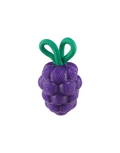 Planet Dog Dental Grapes Dog Chew Toy Purple Medium