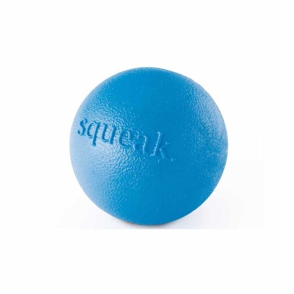 Blue - Planet Dog Orbee-Tuff Squeak Ball Dog Toy