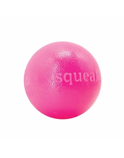 Pink - Planet Dog Orbee-Tuff Squeak Ball Dog Toy