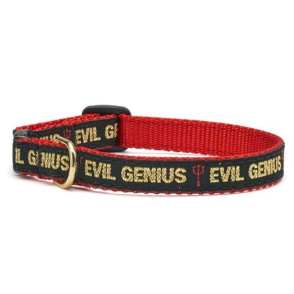 Up Country Evil Genius Cat Collar