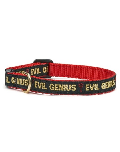 Up Country Evil Genius Cat Collar