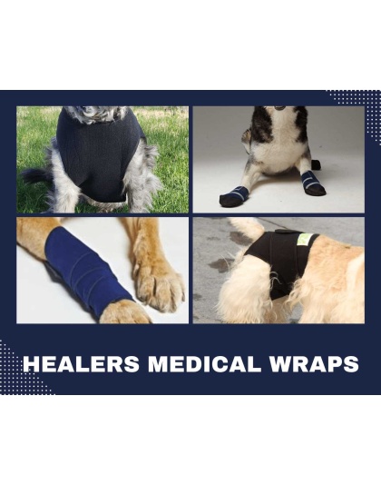 Healers Gauze Replacements - 2" Squares