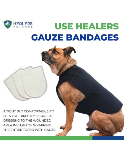 Healers Gauze Replacements - 2" Squares