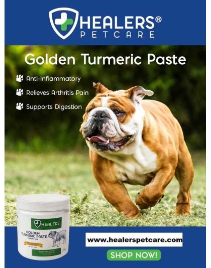 Healers Golden Turmeric Paste for Dogs