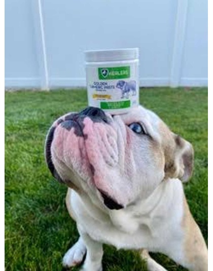 Healers Golden Turmeric Paste for Dogs