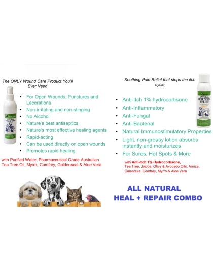 Healers Heal & Repair Kit