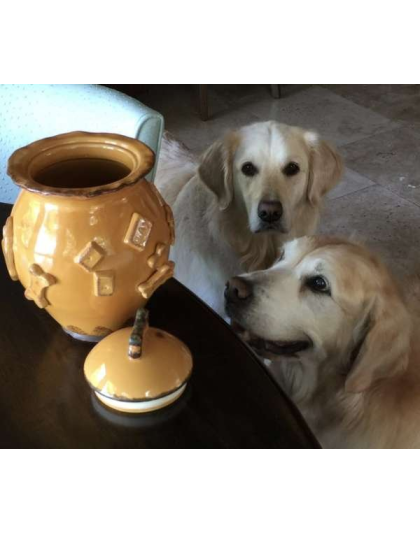 French White - Dog Treat Jar - Jar