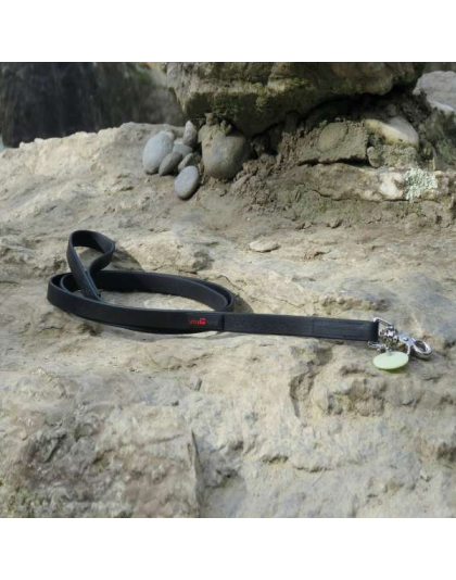 Black - Boss Regular Leash - 3/4" x 6'