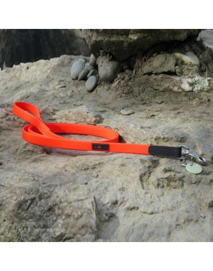 Orange - Boss Regular Leash - 3/4" x 6'